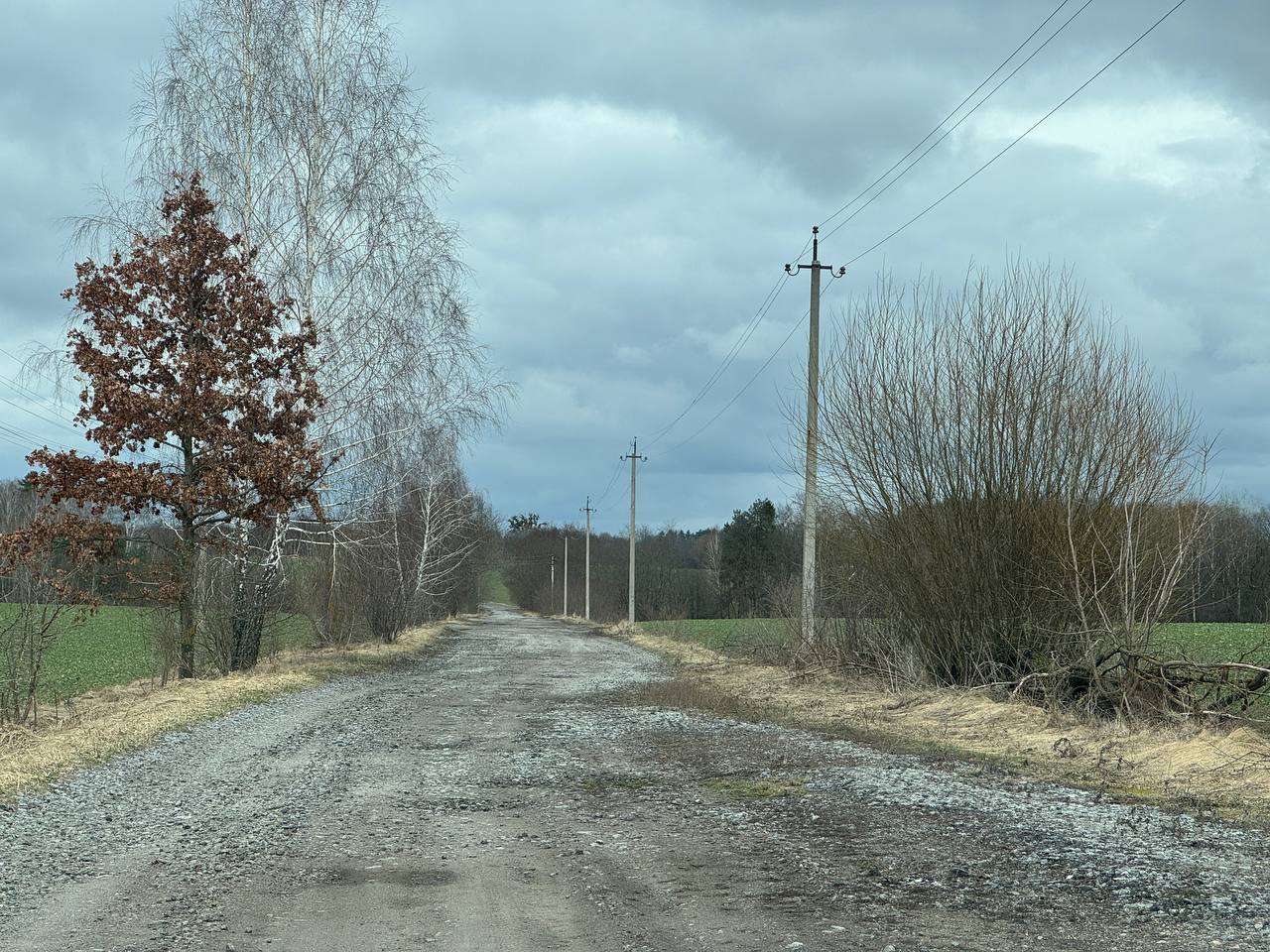 Маленькі історії Великого Лісу