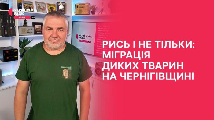 Про рись Понорниччини говорили на чернігівському радіо
