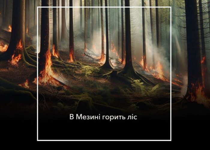 Пожежа в громаді