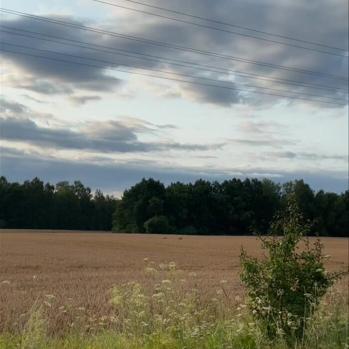 Такі друзі сьогоднішнім ранком зустрілися на полях Понорниччини😍