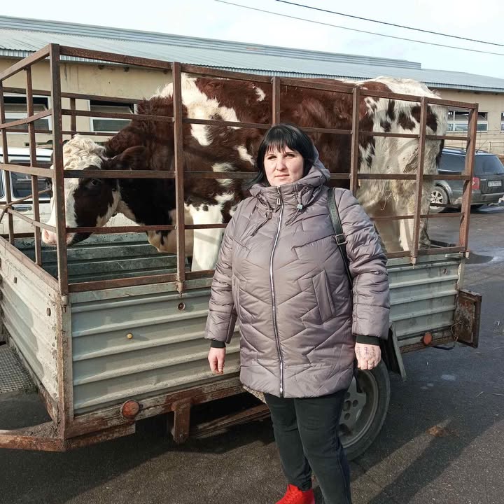 Багатодітна родина з Понорницької громади отримала племінну нетель