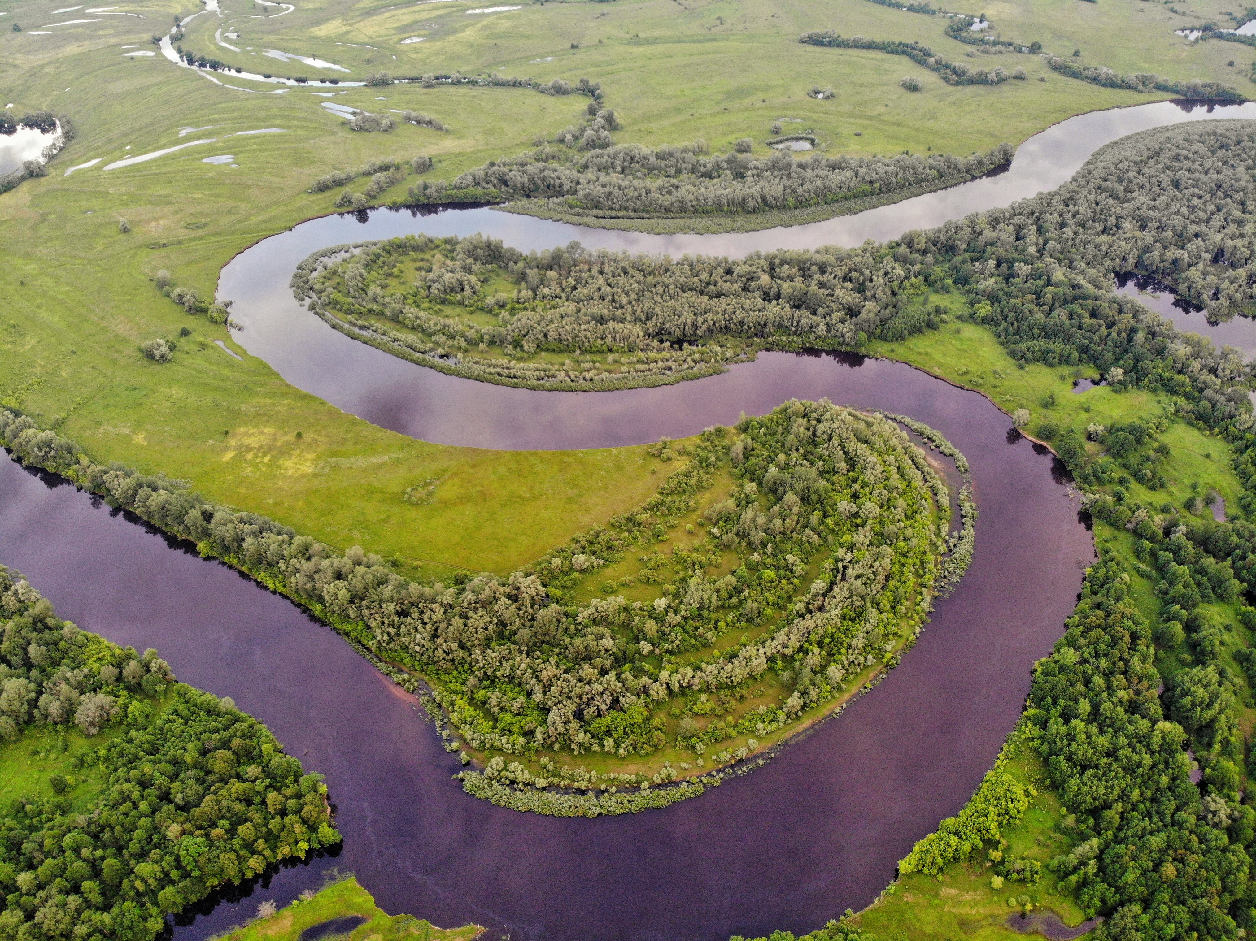 Село на Десні, через яке пройшли всі гутерити світу: як Радичів став батьківщиною пʼятдесяти тисяч людей у Канаді та США