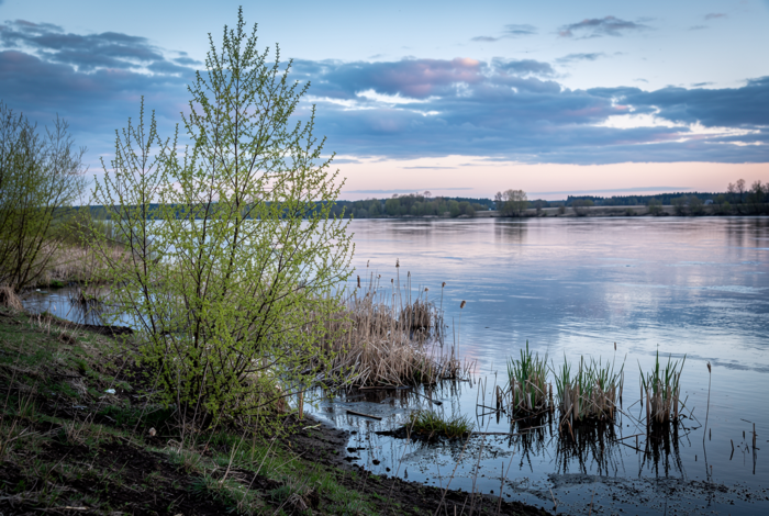 Погода у Понорниці на 07.04.2026