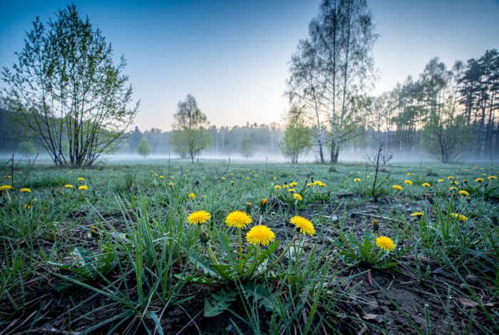 Погода у Понорниці на 10.04.2026