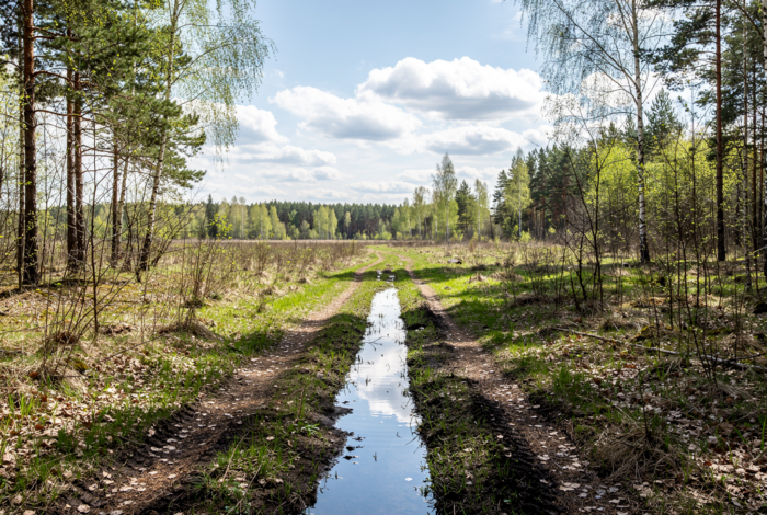 Погода у Понорниці на 14.04.2026