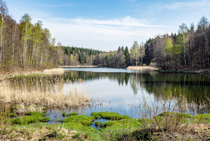 Погода у Понорниці на 21.04.2026