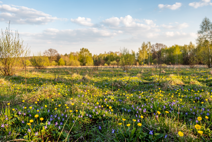 Погода у Понорниці на 24.04.2026