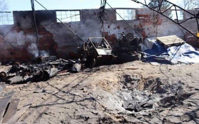 Екологи підрахували збитки від обстрілу ферм у Понорницькій громаді