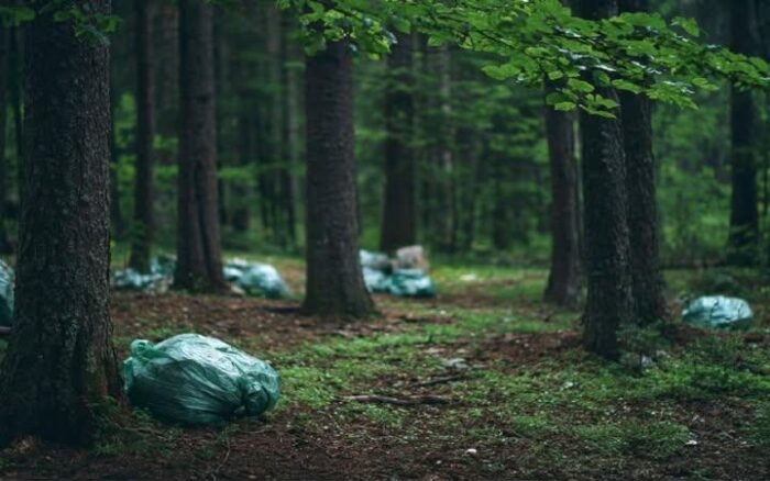 Кабінет Міністрів затвердив правила обліку покинутого сміття в громадах